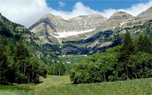 Family Reunions in Sundance, Utah